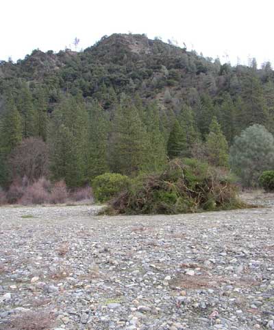 TCRCD Nursery