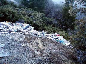 Dump Site 4