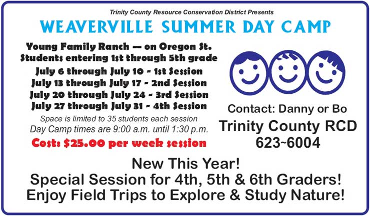 Summer Camp Flyer