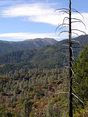View from Musser Hill Rd