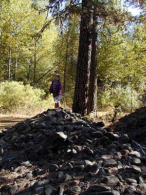 Mining tailings